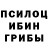 Псилоцибиновые грибы прущие грибы Hollywood2129