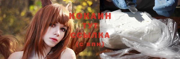 Альфа ПВП Ельня