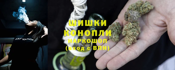 Альфа ПВП Ельня