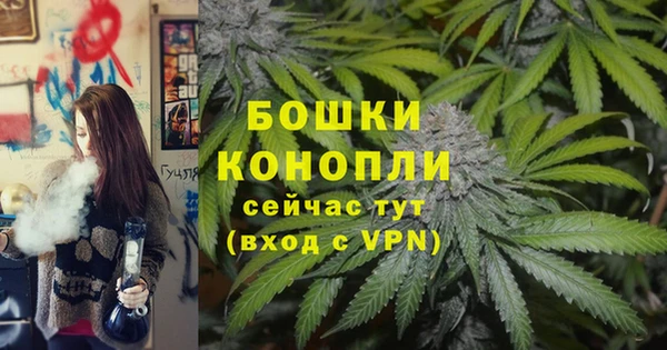 винт Елабуга
