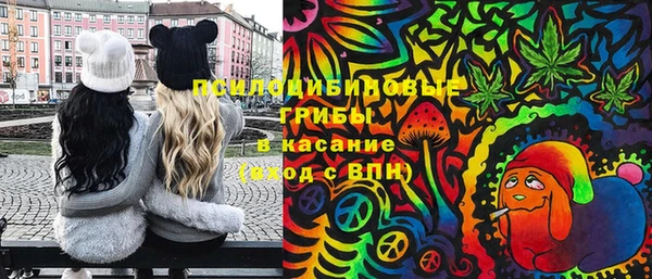 прущая мука Елизово